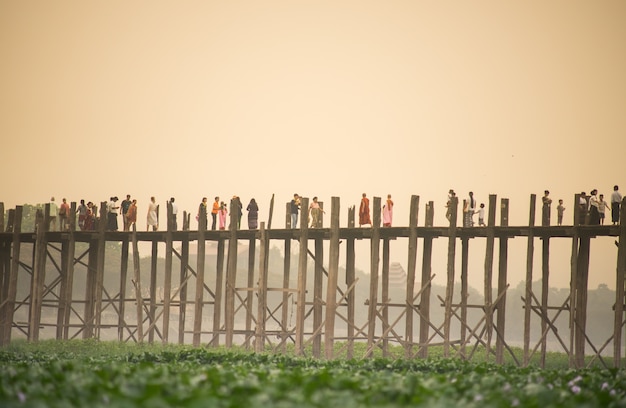 Close up grass with blured U Bein bridge