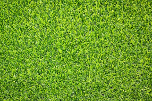 A close up of a green grass texture