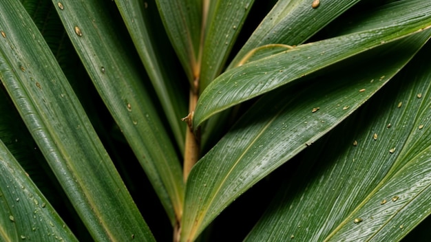 Close Up of a Green Leaf With Water Drops Generative AI