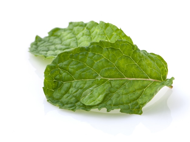 Close up Green mint leavs with water drop isolate on white background.