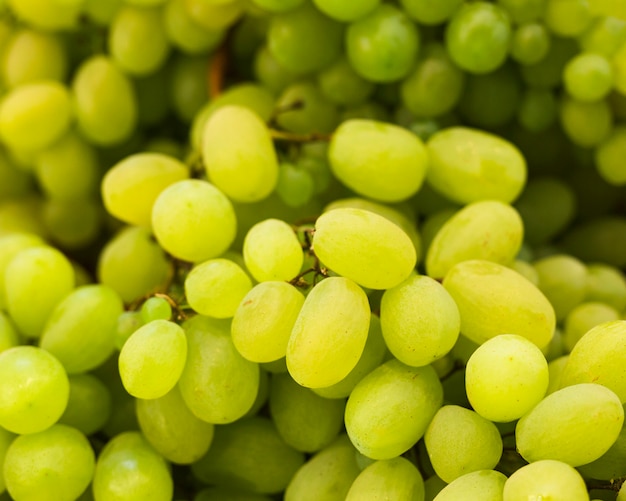 Close-up of green organic fresh grapes