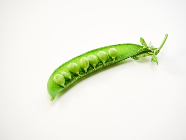 Close-up of green pepper against white background