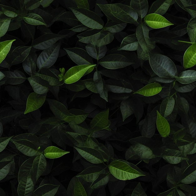 A close up of a green plant with leaves on it generative ai