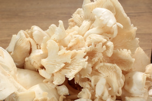 Close Up A Group of White Oyster Mushroom on Wicker Basket on Brown Wooden Table Ready to Cook in the Kitchen