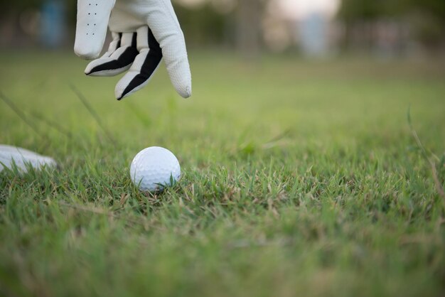 Close up hand of golfer put golf from grassThailand people