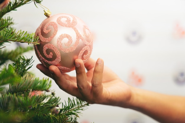 Close up of hand hold ball decorating tree for christmas, Christmas tree branch