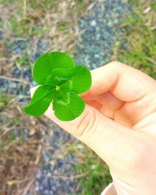 Photo close-up of hand holding flower