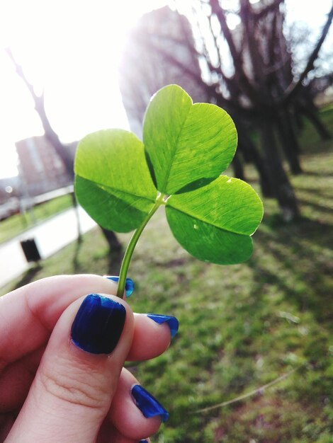 Photo close-up of hand holding leaf