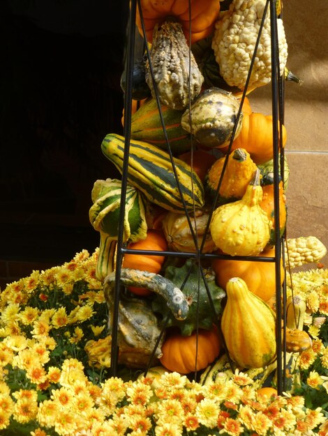 Photo close-up of hand holding pumpkin