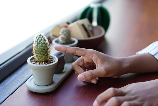 Photo close-up of hand touching potted plant