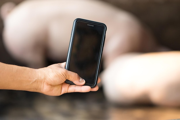 Photo close-up of hand using mobile phone