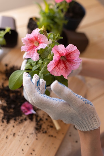 Close up hand wearing glove