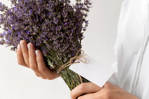 Close up hands holding lavender