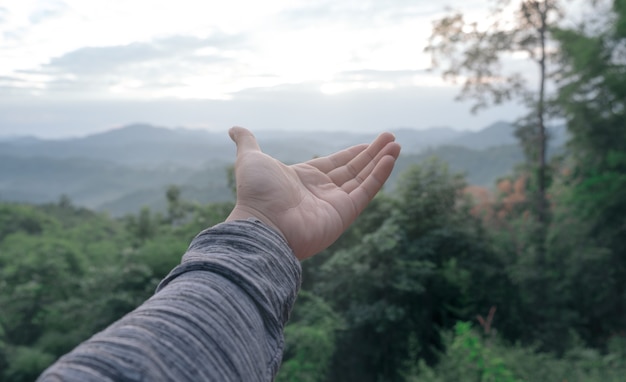 Close up of hands outstretched to receive natural light