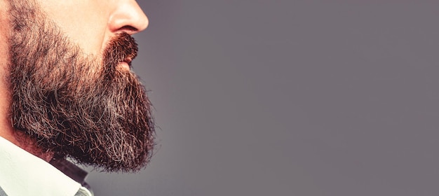 Close up of handsome beard hipster elegant male Beard is his style Bearded man close up Perfect beard Closeup of young bearded man