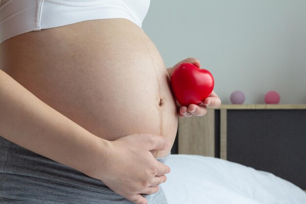 Close up of Happy pregnant woman holding red heart of love on her belly Loving concept