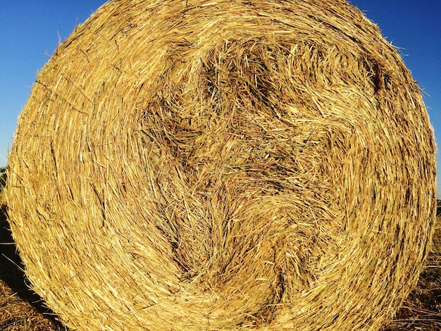 Close-up of hay bales in field