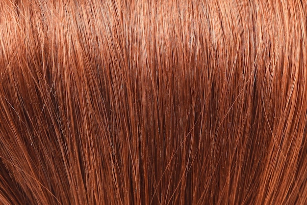 A close up of a head of brown hair with the word hair on it