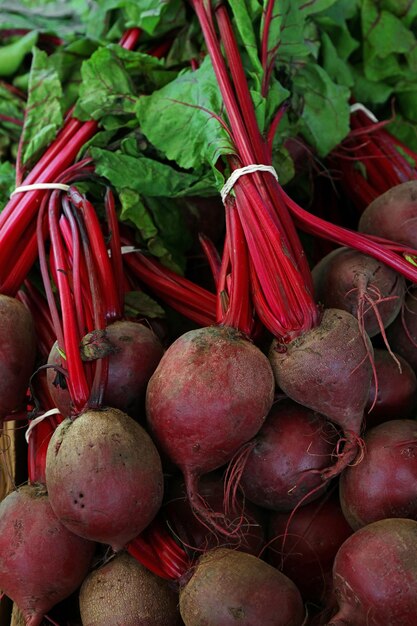 Close up heap of fresh new red beet bunches