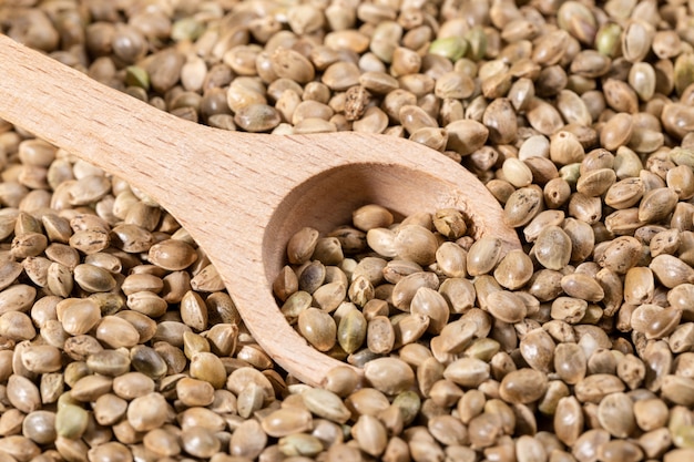 Close-up hemp grains with wooden spoon as background.