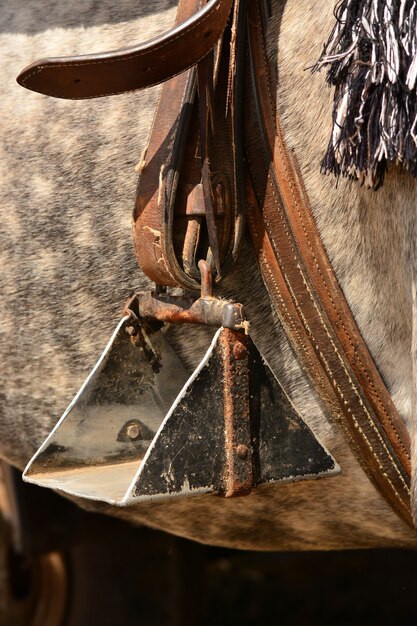 Close up of a horse stirrup