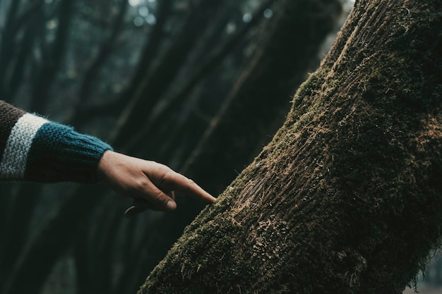 Close up of human man finger hand touching with care a green musk tree trunk in outdoor forest woods nature scenic place People and nature respect love Stop deforestation and climate change future