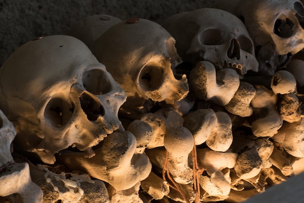 Close-up of human skull