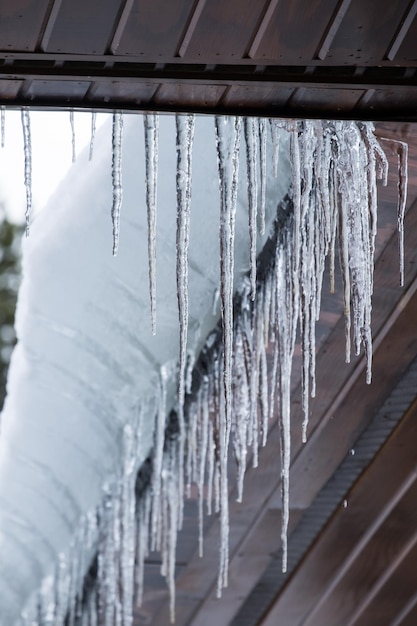 Close-up of icicles