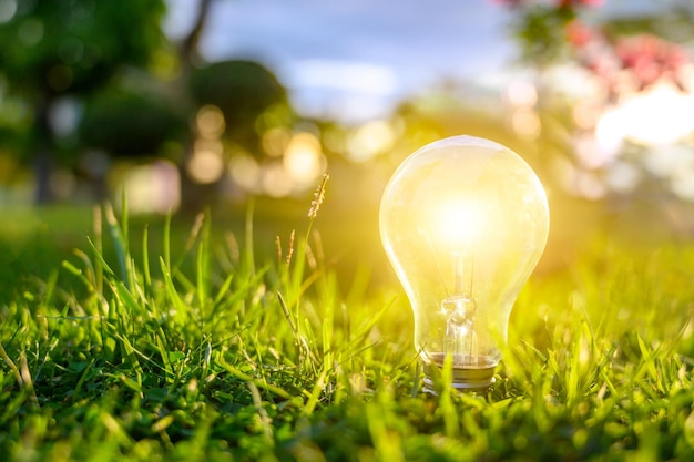 Close-up of illuminated light bulb on field