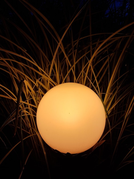 Close-up of illuminated light bulb