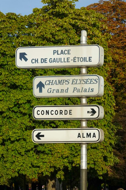 Photo close-up of information sign against trees