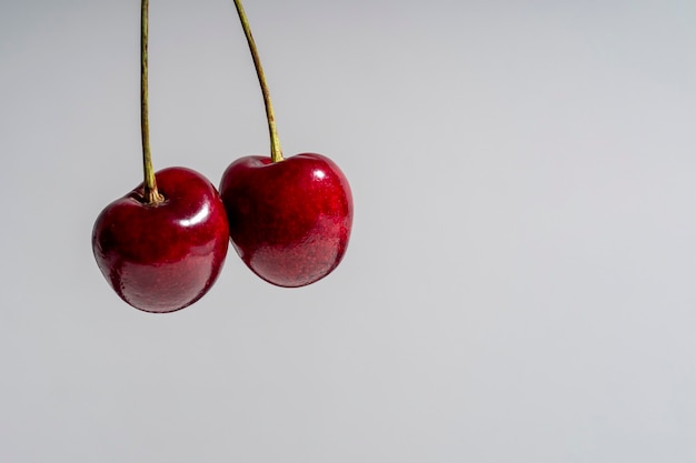 Close-up of a juicy bright ripe cherry. Selective focus, blurred white background, copy space