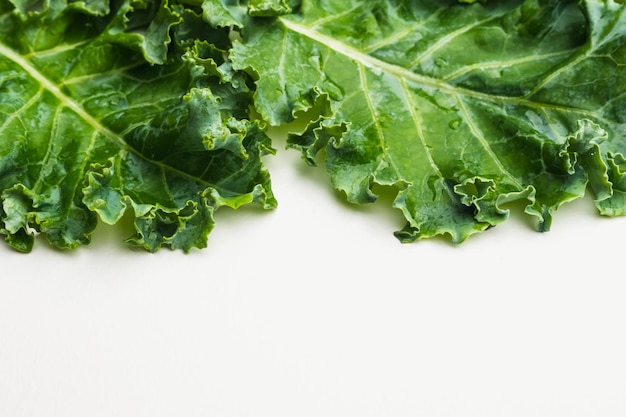 Close up of kale leaves on white background copy space for text