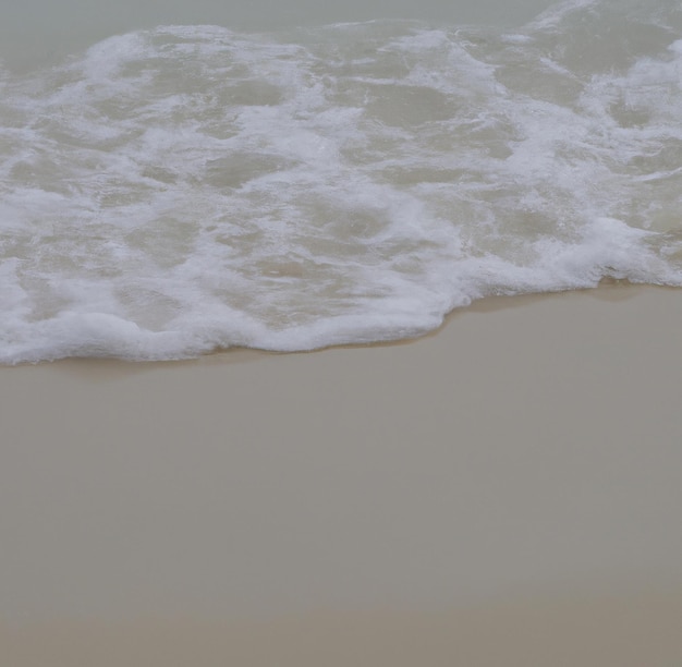 Close up of landscape of clear sea and beach