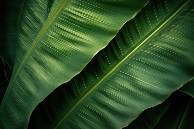 A close up of a large green leaf generative AI