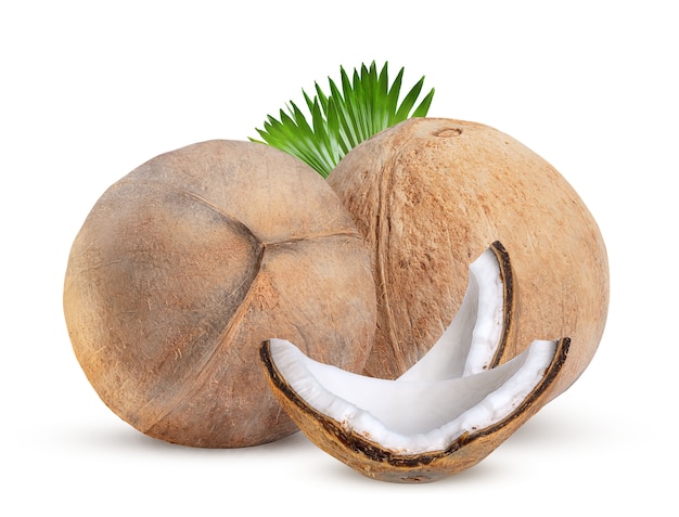 Close up on large and ripe coconut isolated