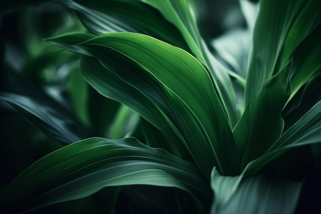 A close up of a leaf with the light shining on it