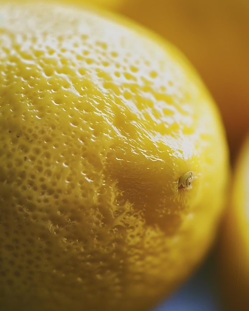 Photo close up of a lemon