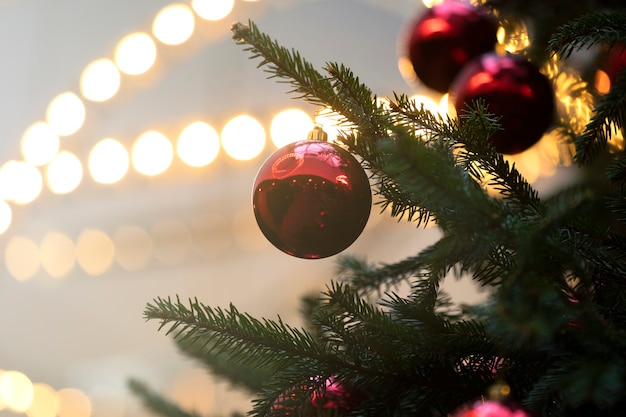 Close-up live green Christmas tree with red balls