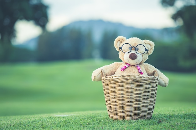 Close up lovely brown teddy bear sitting on grass field 