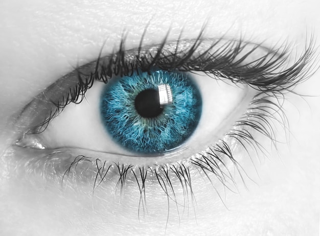 Close-up macro image of human eye with blue iris and desaturated skin