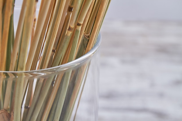 Close-up macro view stems in the glass vase.