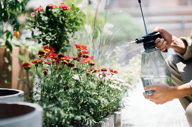 Close up of male florist owner of small business flower shop taking care and watering his plants outside his shop Enjoying his job to be with various plants Small business concept