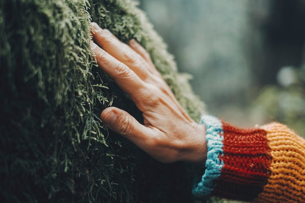 Close up of man hand caring a soft green musk on a trunk tree People and love nature feeling concept Environment lifestyle Earth's day Outdoor environmental leisure activity Forest woods outdoors