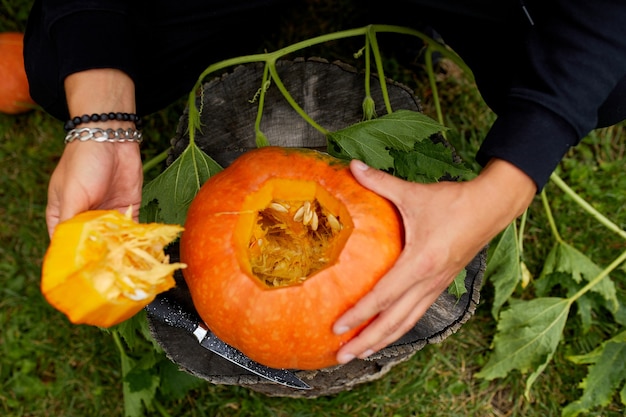 A close up of mans hand cuts a lid from a pumpkin as he prepares a Jack Olantern. Halloween. Decoration for party.