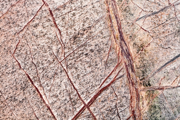 Close up of marble Bidasar Brown texture 