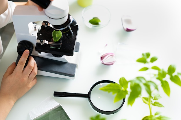 Close-up microscope and plant study, increasing and studying nature.