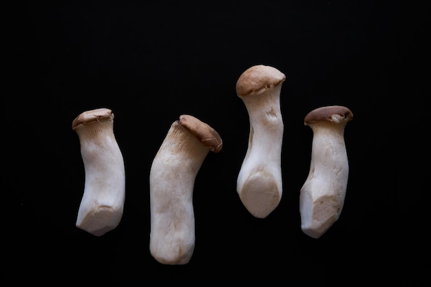 Close-up of mushrooms against black background