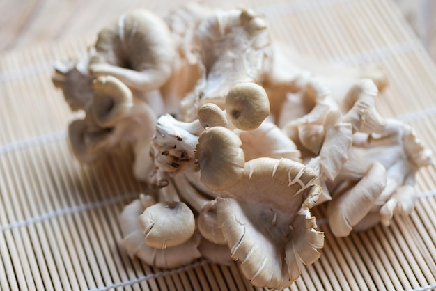 Close-up of mushrooms on table