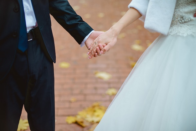 Close-up of newly weds holding each other's hands and showing their wedding rings